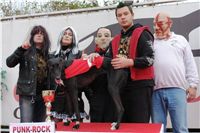 halloween-punk-rock-greyhound-race-czech-greyhound-racing-federation-DSC01810.JPG