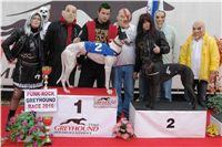 halloween-punk-rock-greyhound-race-czech-greyhound-racing-federation-DSC01840.JPG