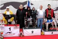 halloween-punk-rock-greyhound-race-czech-greyhound-racing-federation-DSC01860.JPG