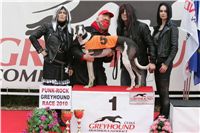 halloween-punk-rock-greyhound-race-czech-greyhound-racing-federation-NQ1M9147.JPG