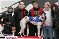 halloween-punk-rock-greyhound-race-czech-greyhound-racing-federation-NQ1M9309.JPG