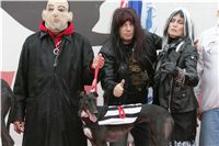 halloween-punk-rock-greyhound-race-czech-greyhound-racing-federation-NQ1M9375.JPG