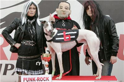 FOTO2_halloween-punk-rock-greyhound-race-czech-greyhound-racing-federation-NQ1M9244.JPG