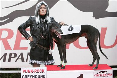 FOTO3_halloween-punk-rock-greyhound-race-czech-greyhound-racing-federation-NQ1M9122.JPG