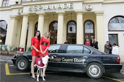 Greyhound_Cayenn_Velmistr-Nq1m1035.jpg