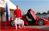 Greyhound_White_Mistr_CR_08_Ferrari_Enzo_Ceska_greyhound_dostihova_federace_DSC05641.JPG