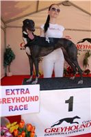 NewMac_Dior_Zlaty_chrt_Ceska_greyhound_dostihova_federace_DSC05627.JPG