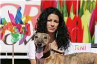 Swift_Cruise_Zlaty_chrt_vitez_Ceska_greyhound_dostihova_federace__NQ1M2655.JPG