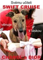 Swift_Cruise_Zlaty_chrt_vitez_Ceska_greyhound_dostihova_federace_swift2.jpg