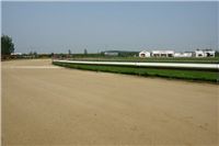 Greyhound_Race_Track_Praskacka_Ceska_greyhound_dostihova_federaceDSC02695.JPG