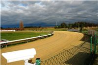 Video_jury_Greyhound_race_track_Praskacka_DSC02951.jpg