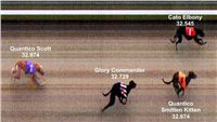 Photofinish_Czech_greyhound_race_track_Praskacka_22.jpg