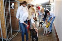 racing_paddock_Czech_Greyhound_Racing_Federation_Dsc03629.jpg