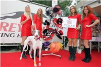 Dostihova_draha_chrtu_Praskacka_Ceska_greyhound_dostihova_fedeace_NQ1M7346.jpg