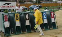 Greyhound_Race_Track_Praskacka_Ceska_greyhound_dostihova_federace_DSC00083.JPG