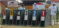 Greyhound_Race_Track_Praskacka_Ceska_greyhound_dostihova_federace_MVM_0311.JPG