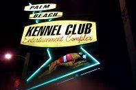 palm_beach_kennel_club_neonlight.jpg