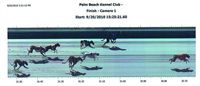 palm_beach_kennel_club_perfectorderoffinis9202010.jpg