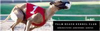 palm_beach_kennel_club_header.jpg