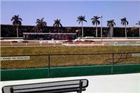 palm_beach_kennel_club_track.jpg