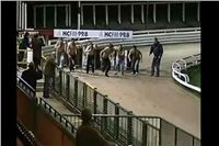 Human_Race_run_at_Hull_Greyhound_Stadium.jpg