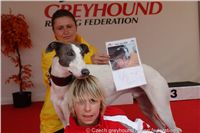 Chrt_White_Elbony_Czech_Greyhound_Racing_Federation_DSC01214.JPG