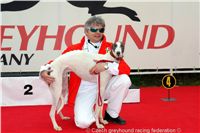 Chrt_White_Elbony_Czech_Greyhound_Racing_Federation_DSC02272.JPG