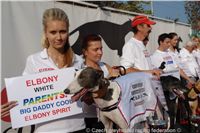 Chrt_White_Elbony_Czech_Greyhound_Racing_Federation_DSC05504.JPG
