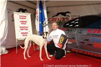 Chrt_White_Elbony_Czech_Greyhound_Racing_Federation_DSC06543.JPG