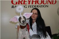 Chrt_White_Elbony_Czech_Greyhound_Racing_Federation_DSC07238.JPG