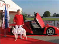 Chrt_White_Elbony_Czech_Greyhound_Racing_Federation_IMG_8901.jpg