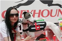 Chrt_White_Elbony_Czech_Greyhound_Racing_Federation_NQ1M5264.JPG