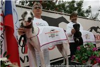 Chrt_White_Elbony_Czech_Greyhound_Racing_Federation_NQ1M6809.JPG