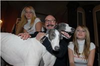 Golden_greyhound_White_Elbony_Ceska_greyhound_dostihova_federace_DSC_0224.jpg