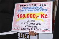 Golden_greyhound_Cayenn_Elbony_Ceska_greyhound_dostihova_federace_cheque.JPG