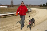 testovani_chrti_drahy_Praskacka_Ceska_greyhound_dostihova_federace_DSC05568.JPG