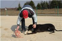 testovani_chrti_drahy_Praskacka_Ceska_greyhound_dostihova_federace_DSC05584.JPG