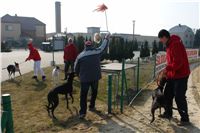 testovani_chrti_drahy_Praskacka_Ceska_greyhound_dostihova_federace_DSC05589.JPG