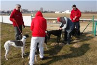 testovani_chrti_drahy_Praskacka_Ceska_greyhound_dostihova_federace_DSC05591.JPG