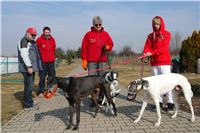 testovani_chrti_drahy_Praskacka_Ceska_greyhound_dostihova_federace_DSC05606.JPG