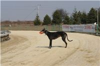 testovani_chrti_drahy_Praskacka_Ceska_greyhound_dostihova_federace_DSC05615.JPG