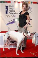 Golden_Greyhound_2010_Awards_8568.jpg