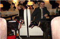 Golden_Greyhound_2010_Awards_DSC05786.JPG