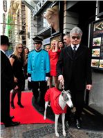 Golden_Greyhound_2010_Awards__002.jpg