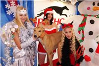 Lemon_Moet_Zlaty_chrt_vitez_Ceska_greyhound_dostihova_federace_DSC03963.jpg