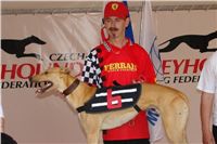 Lemon_Moet_Zlaty_chrt_vitez_Ceska_greyhound_dostihova_federace_Dsc05418_rmc.jpg