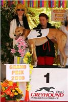 Lemon_Moet_Zlaty_chrt_vitez_Ceska_greyhound_dostihova_federace_Nq1m5112.jpg