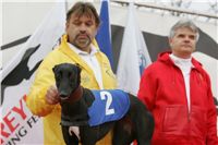 Zlaty_chrt_2010_vitez_Sjudraget_Lijane_Ceska_greyhound_dostihova_federace_NQ1M9868.JPG