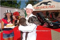 NewMac_Dior_Zlaty_chrt_Ceska_greyhound_dostihova_federace_DSC05767.JPG