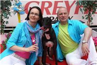 NewMac_Dior_Zlaty_chrt_Ceska_greyhound_dostihova_federace_DSC07006.JPG